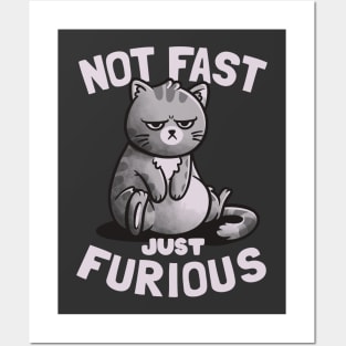 Not Fast Just Furious Cute Funny Cat Gift Posters and Art